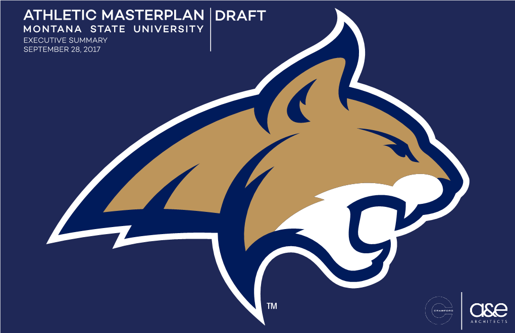 Athletic Masterplan Draft