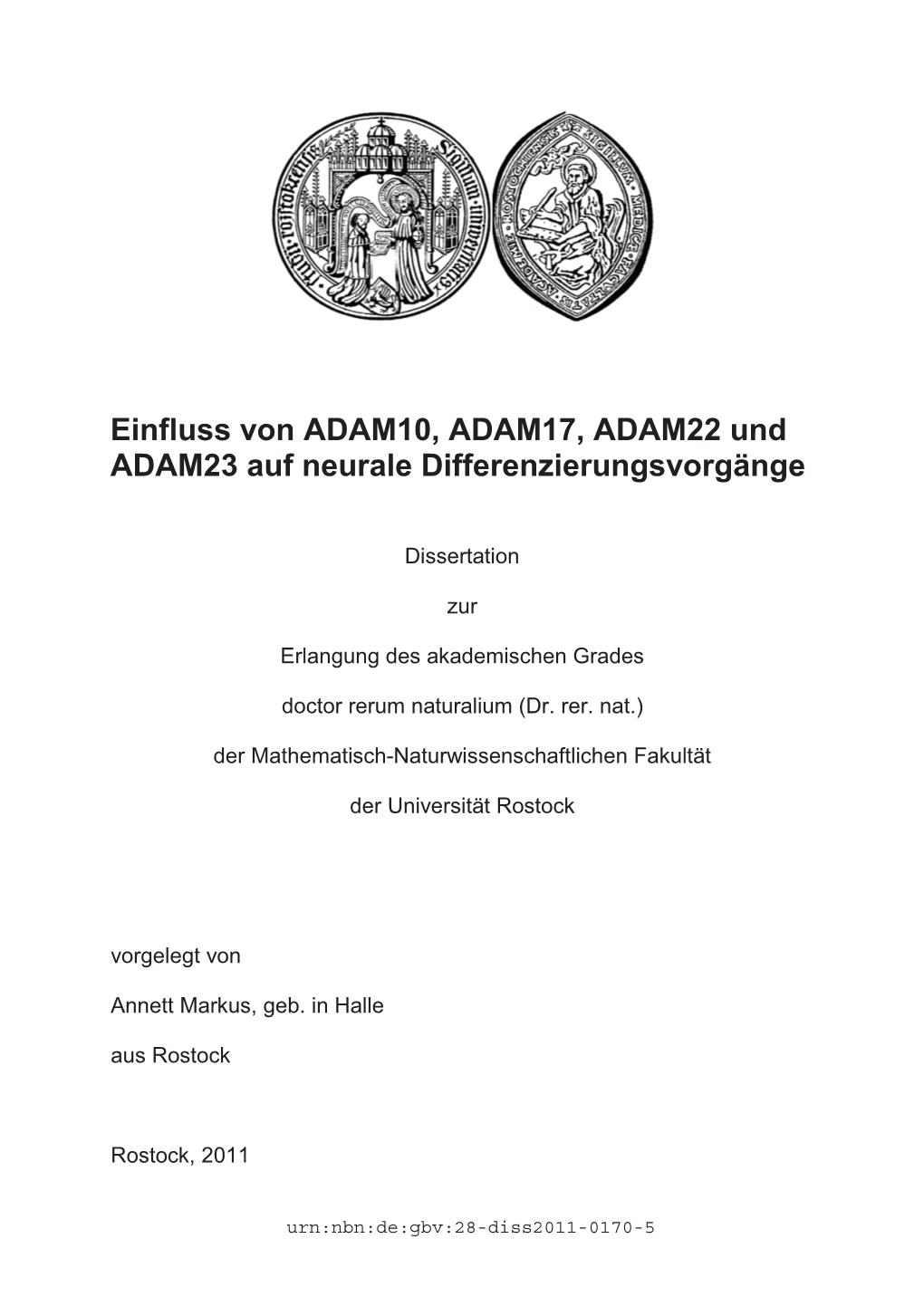 Einfluss Von ADAM10, ADAM17, ADAM22 Und ADAM23 Auf Neurale Differenzierungsvorgänge