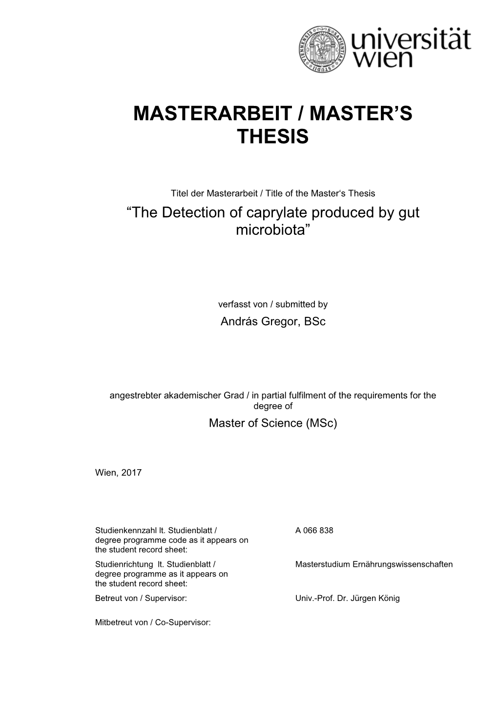 Masterarbeit / Master's Thesis