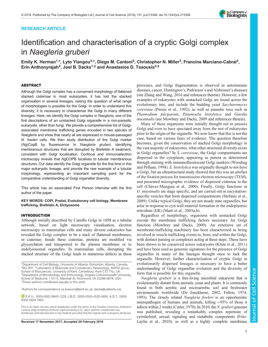 Naegleria Gruberi Emily K