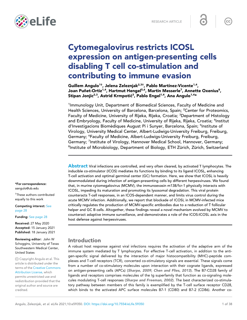 Cytomegalovirus Restricts ICOSL Expression on Antigen-Presenting