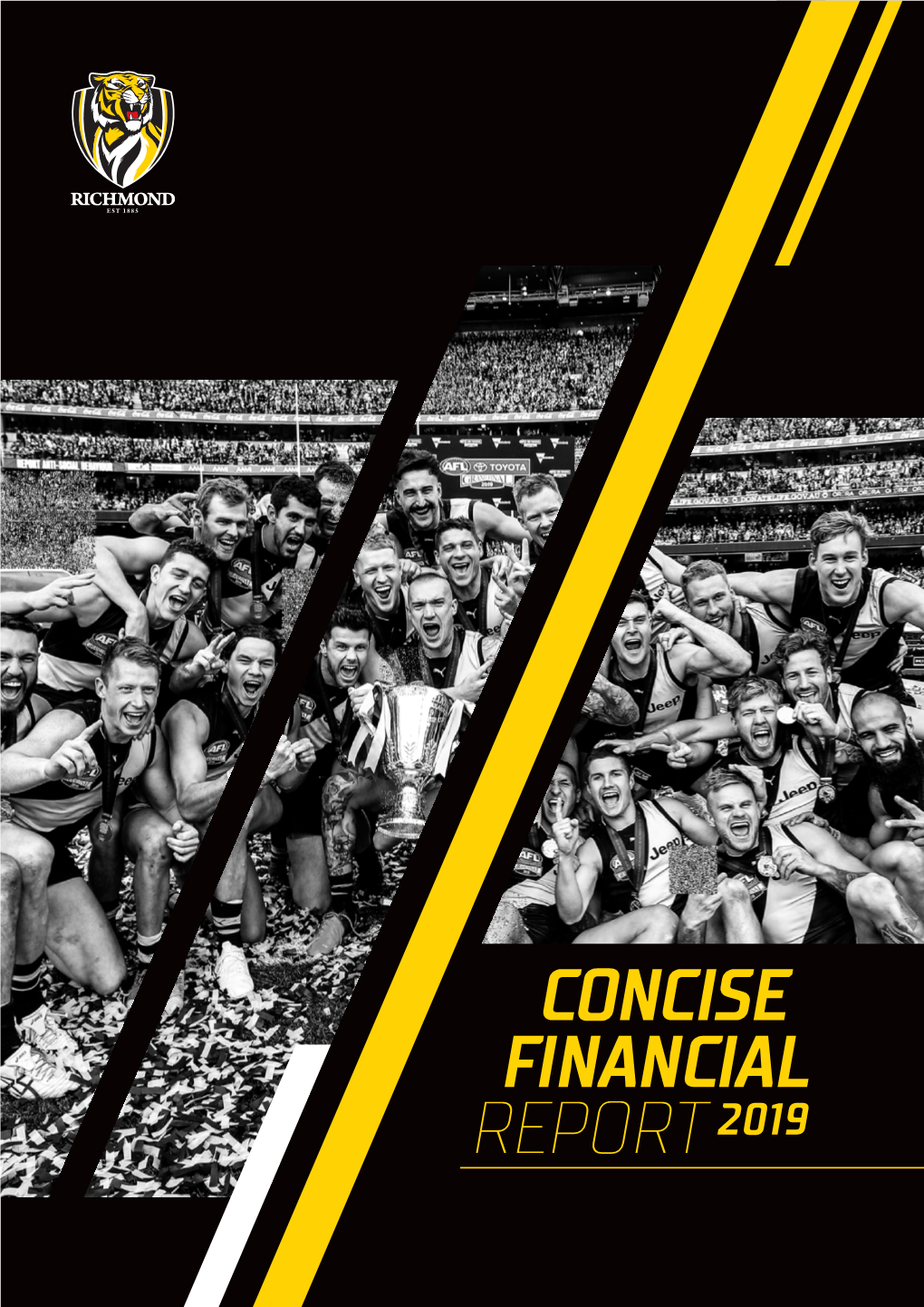 Concise Financial Report 2019