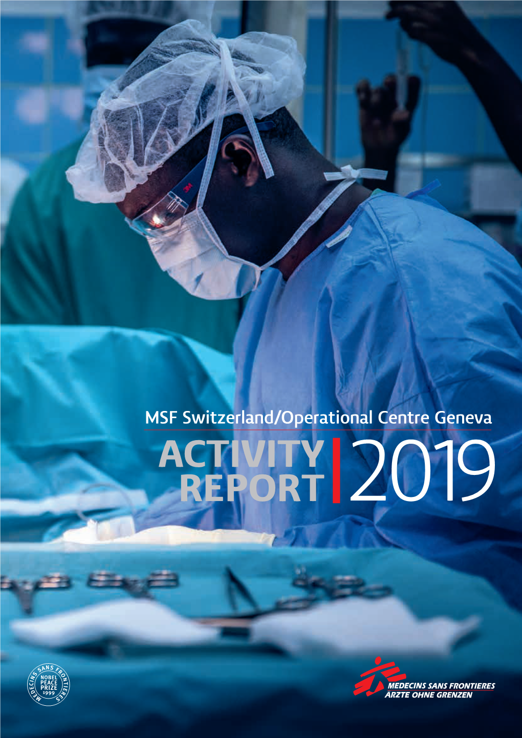 Activity Report 2018
