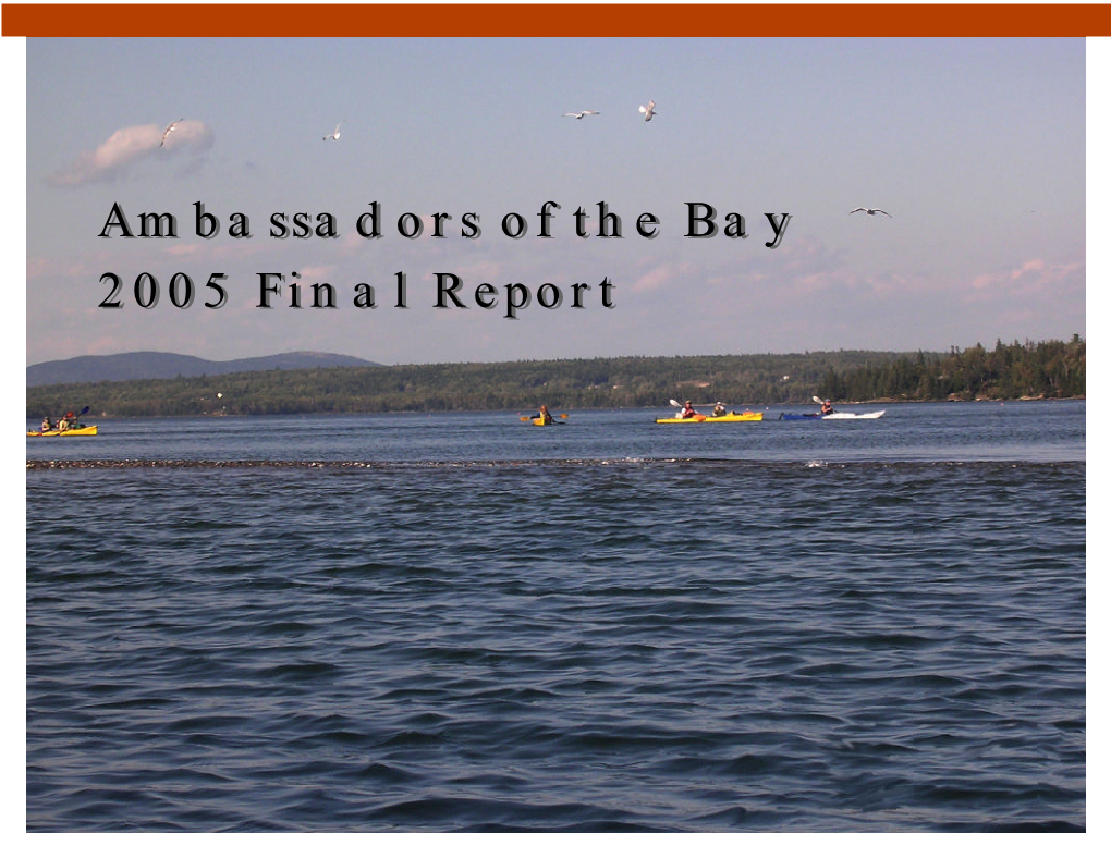 2005 Ambassadors of the Bay Final Report