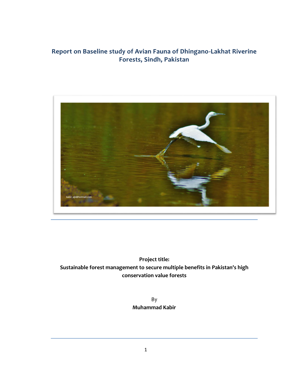 Report on Baseline Study of Avian Fauna of Dhingano-Lakhat Riverine Forests, Sindh, Pakistan