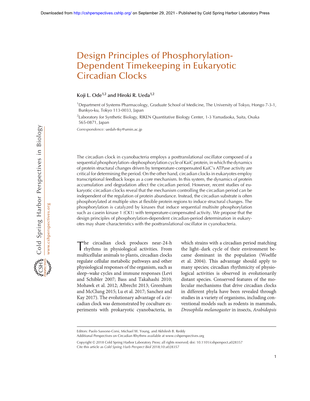 Design Principles of Phosphorylation-Dependent Timekeeping in Eukaryotic Circadian Clocks