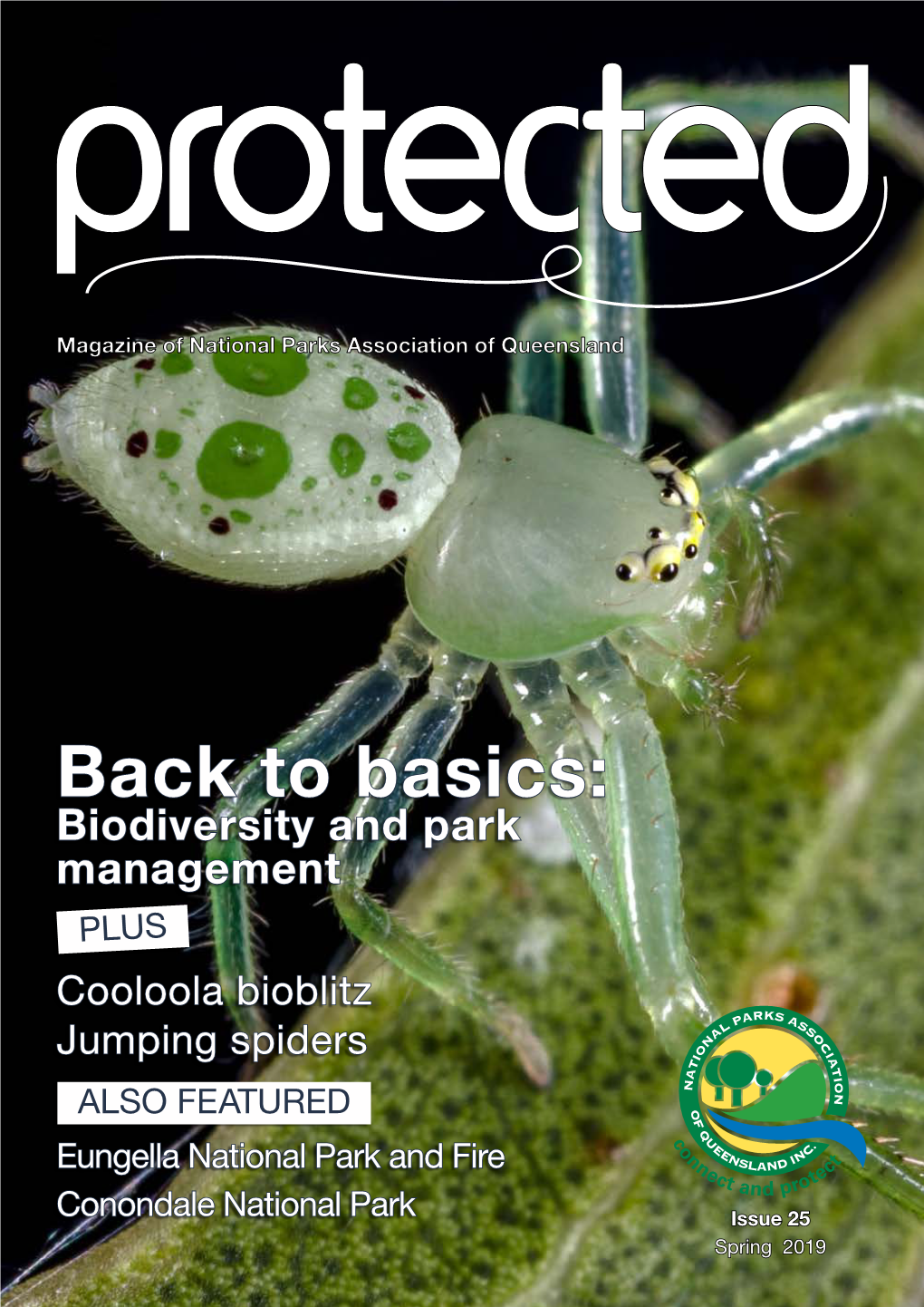 Issue 25 – Back to Basics (Spring 2019)