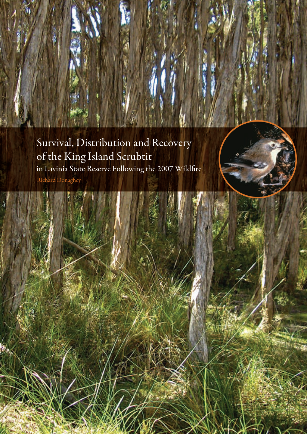 Survival, Distribution and Recovery of the King Island Scrubtit in Lavinia State Reserve Following the 2007 Wildfire