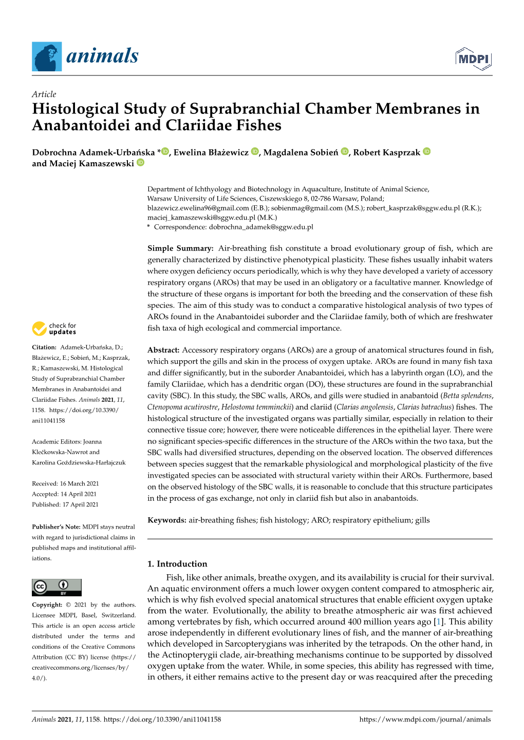 Histological Study of Suprabranchial Chamber Membranes in Anabantoidei and Clariidae Fishes