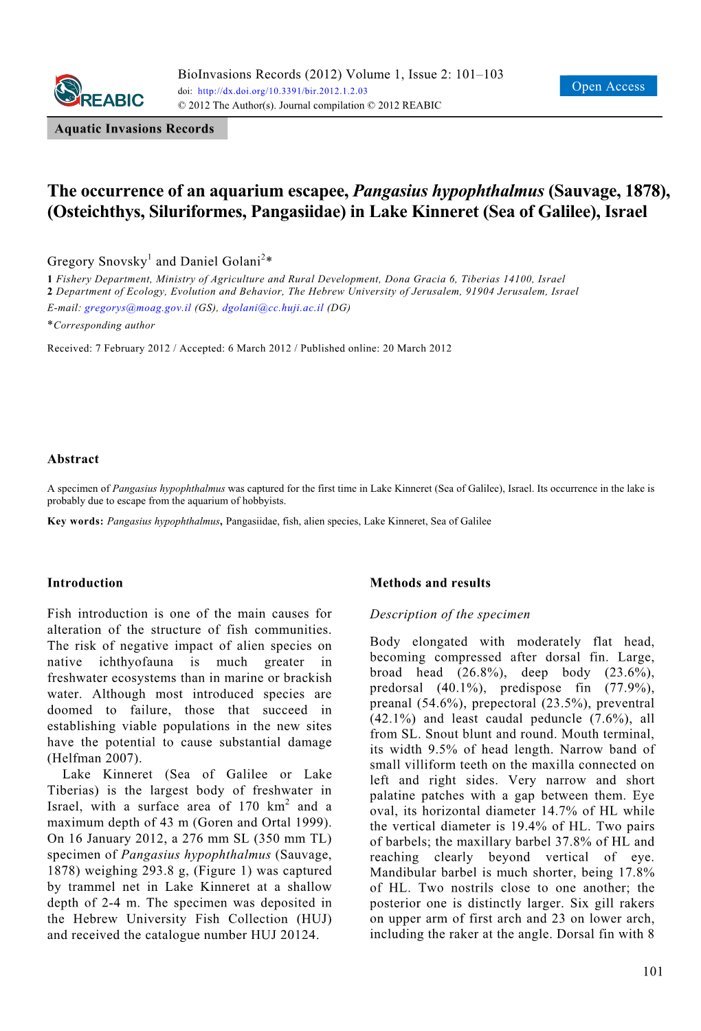 The Occurrence of an Aquarium Escapee, Pangasius Hypophthalmus (Sauvage, 1878), (Osteichthys, Siluriformes, Pangasiidae) in Lake Kinneret (Sea of Galilee), Israel