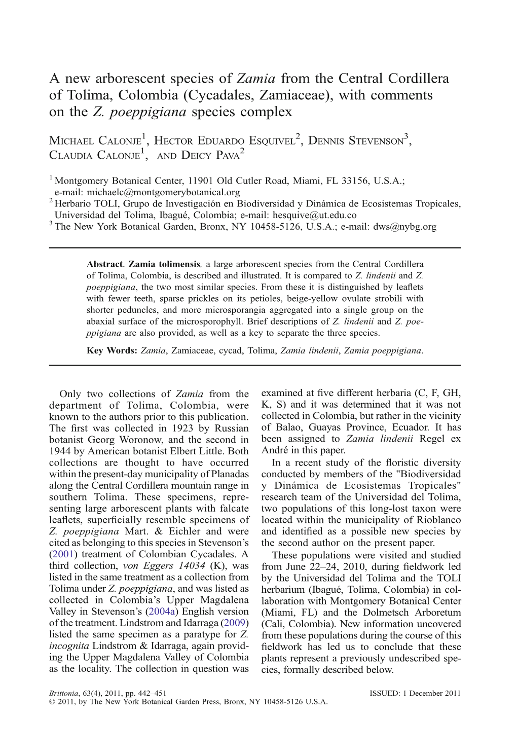 A New Arborescent Species of Zamia from the Central Cordillera of Tolima, Colombia (Cycadales, Zamiaceae), with Comments on the Z