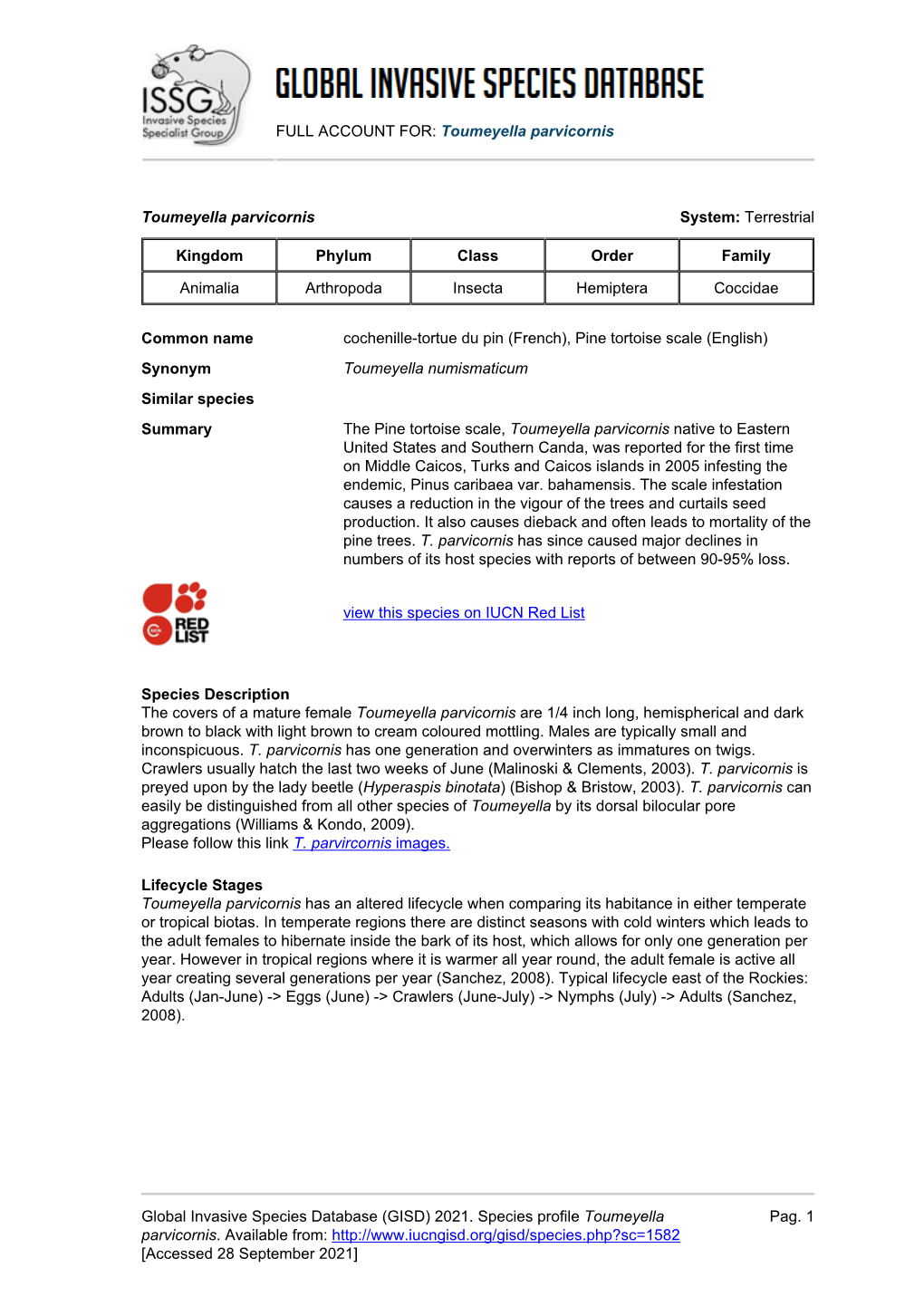 Toumeyella Parvicornis Global Invasive Species Database (GISD)