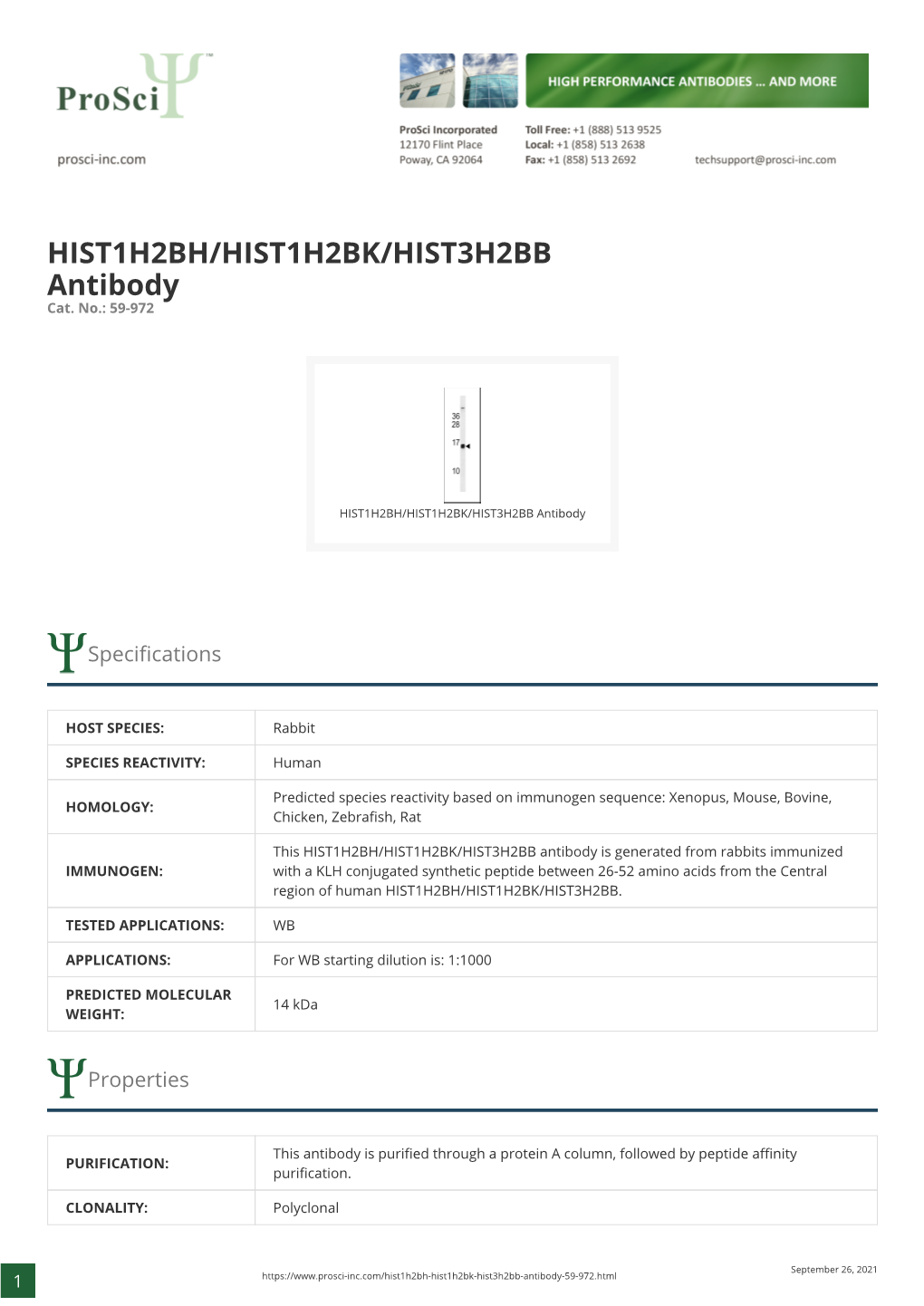 HIST1H2BH/HIST1H2BK/HIST3H2BB Antibody Cat