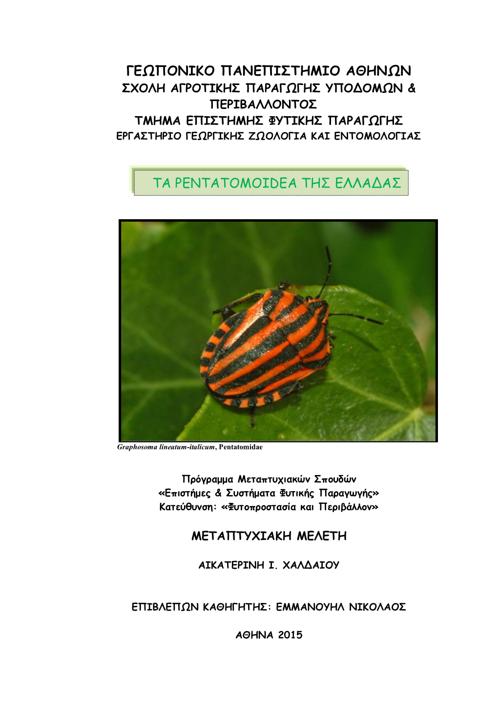 Γεωπονικο Πανεπιστημιο Αθηνων Τα Pentatomoidea