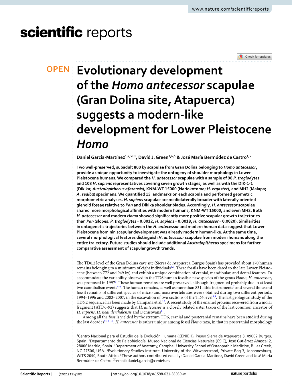 Evolutionary Development of the Homo Antecessor