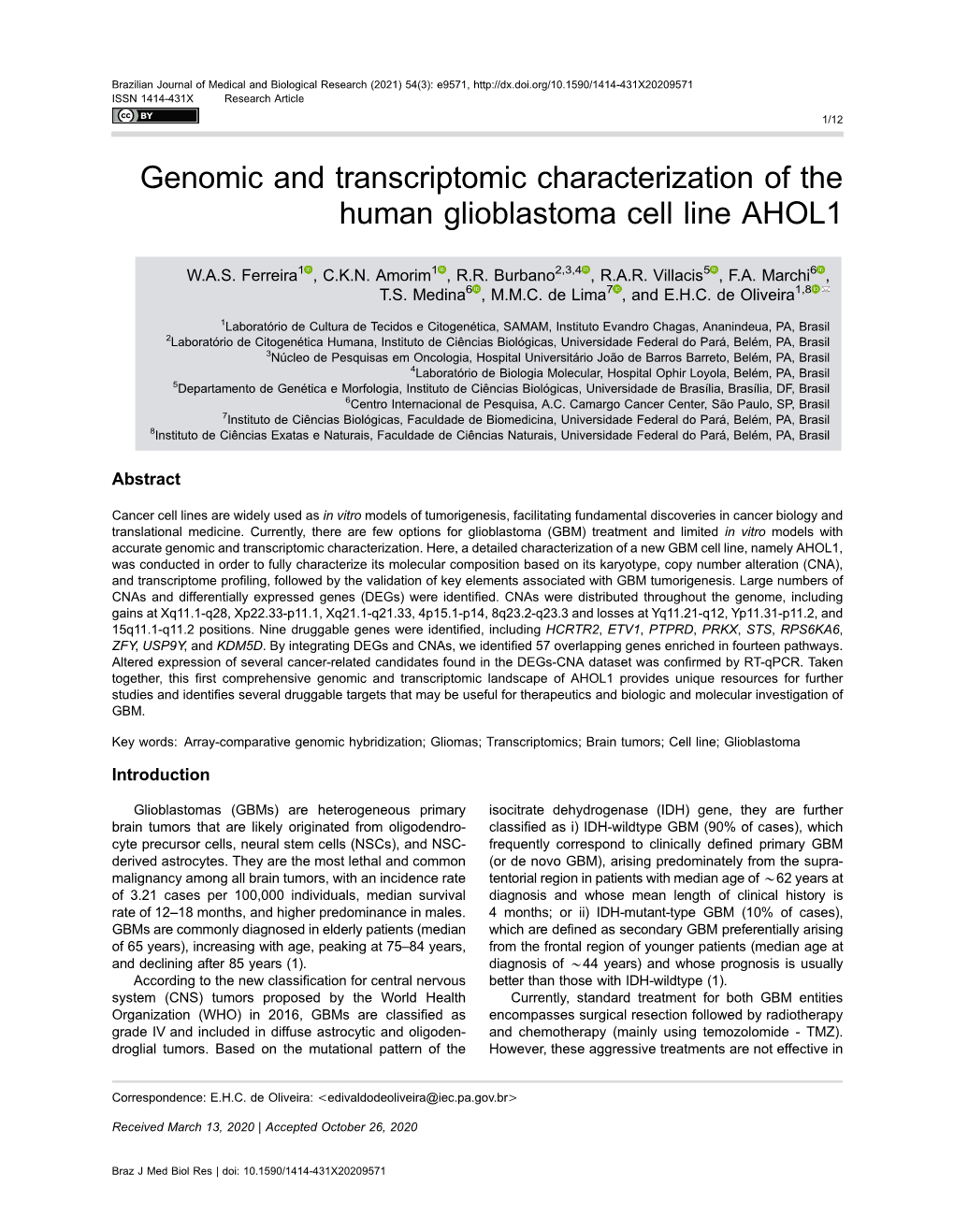 Genomic and Transcriptomic Characterization of the Human Glioblastoma Cell Line AHOL1