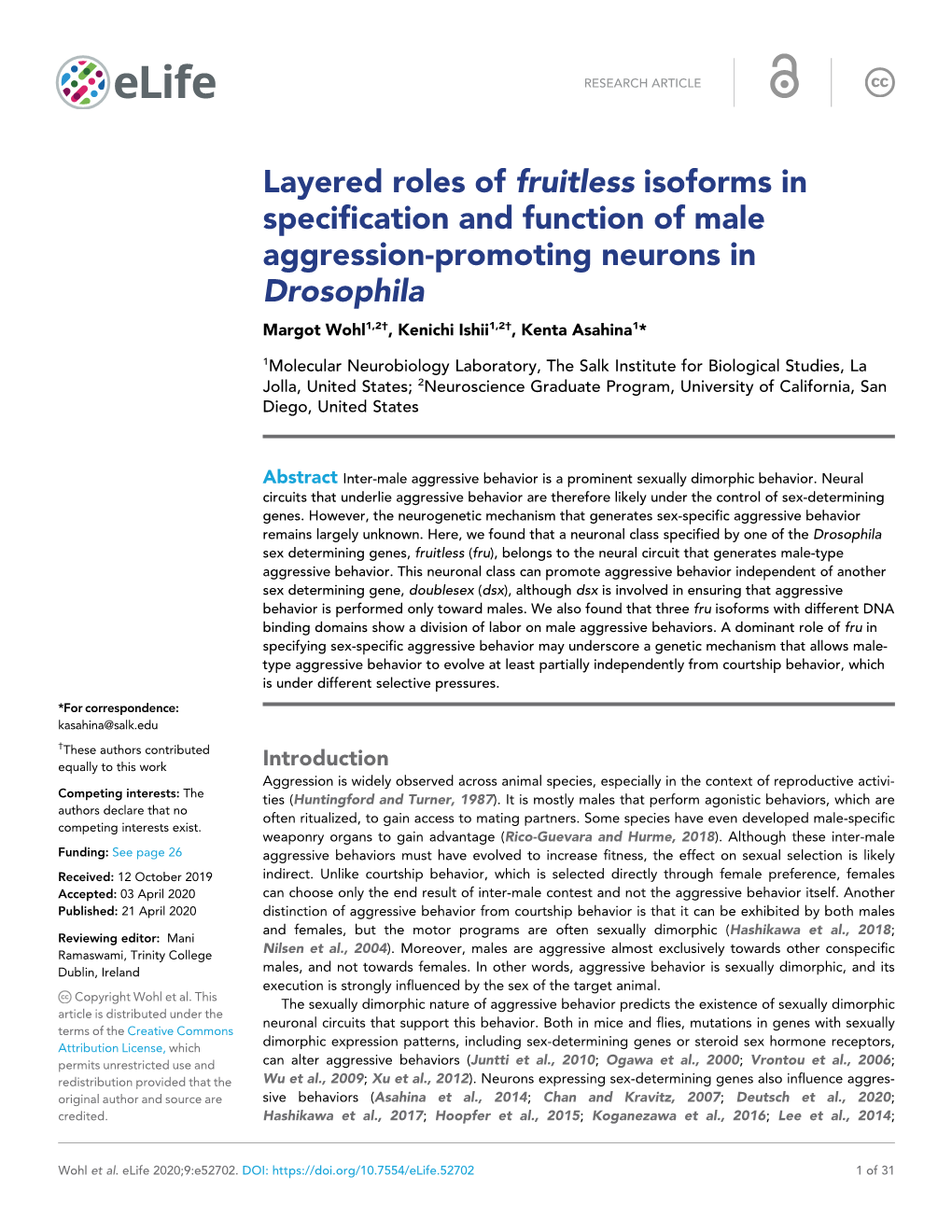 Layered Roles of Fruitless Isoforms in Specification and Function of Male