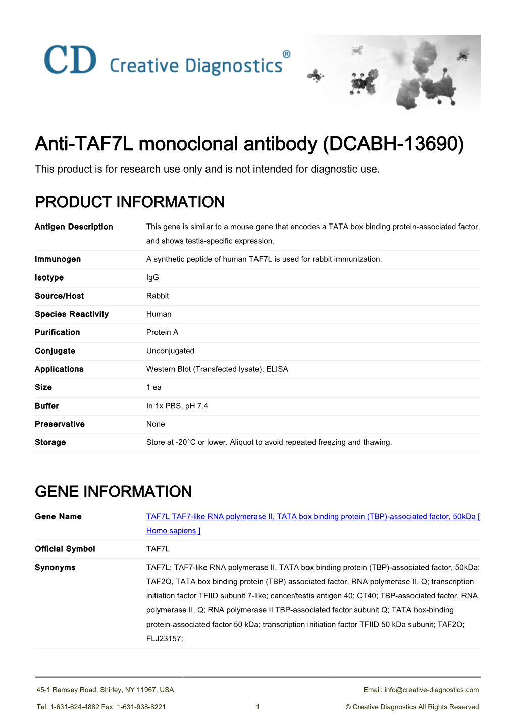 Anti-TAF7L Monoclonal Antibody (DCABH-13690) This Product Is for Research Use Only and Is Not Intended for Diagnostic Use