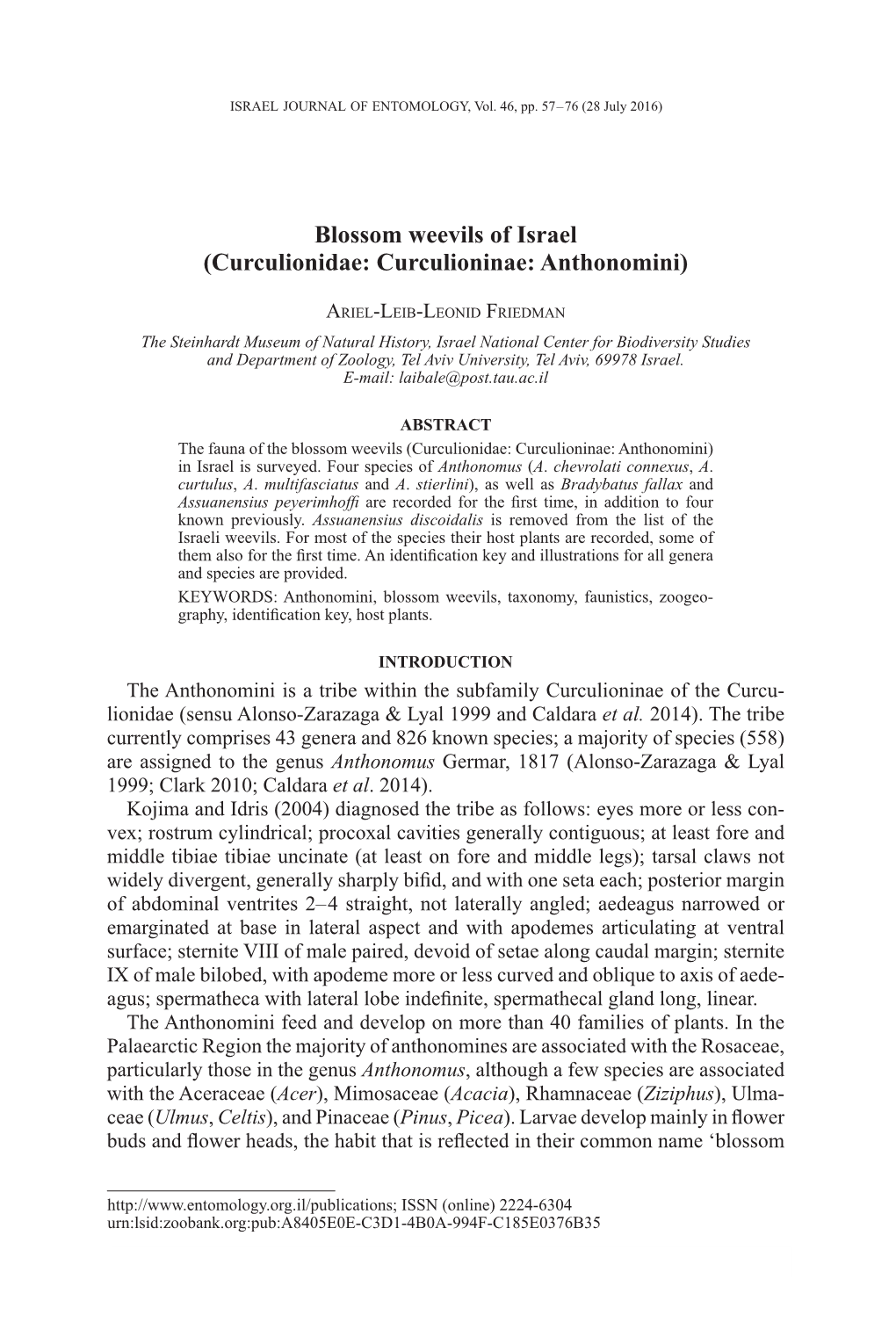 Blossom Weevils of Israel (Curculionidae: Curculioninae: Anthonomini)