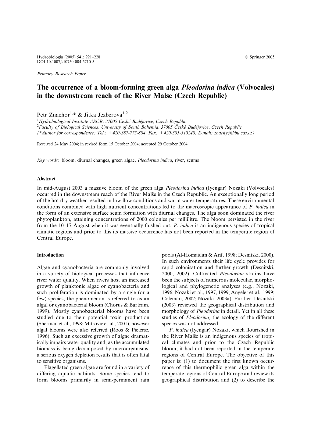 The Occurrence of a Bloom-Forming Green Alga Pleodorina Indica (Volvocales) in the Downstream Reach of the River Malse (Czech Republic)