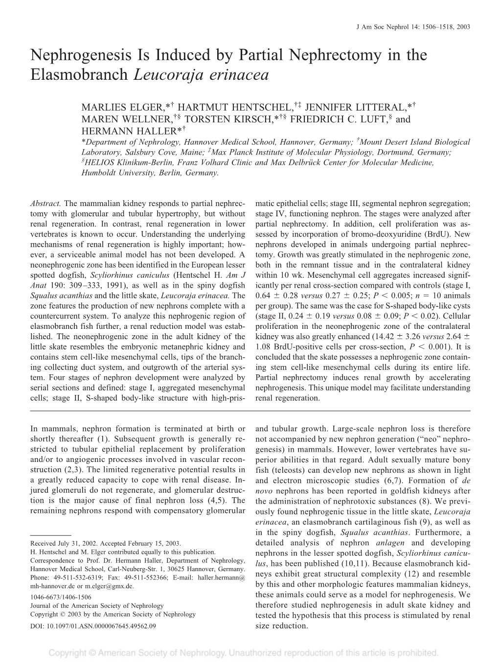 Nephrogenesis Is Induced by Partial Nephrectomy in the Elasmobranch Leucoraja Erinacea