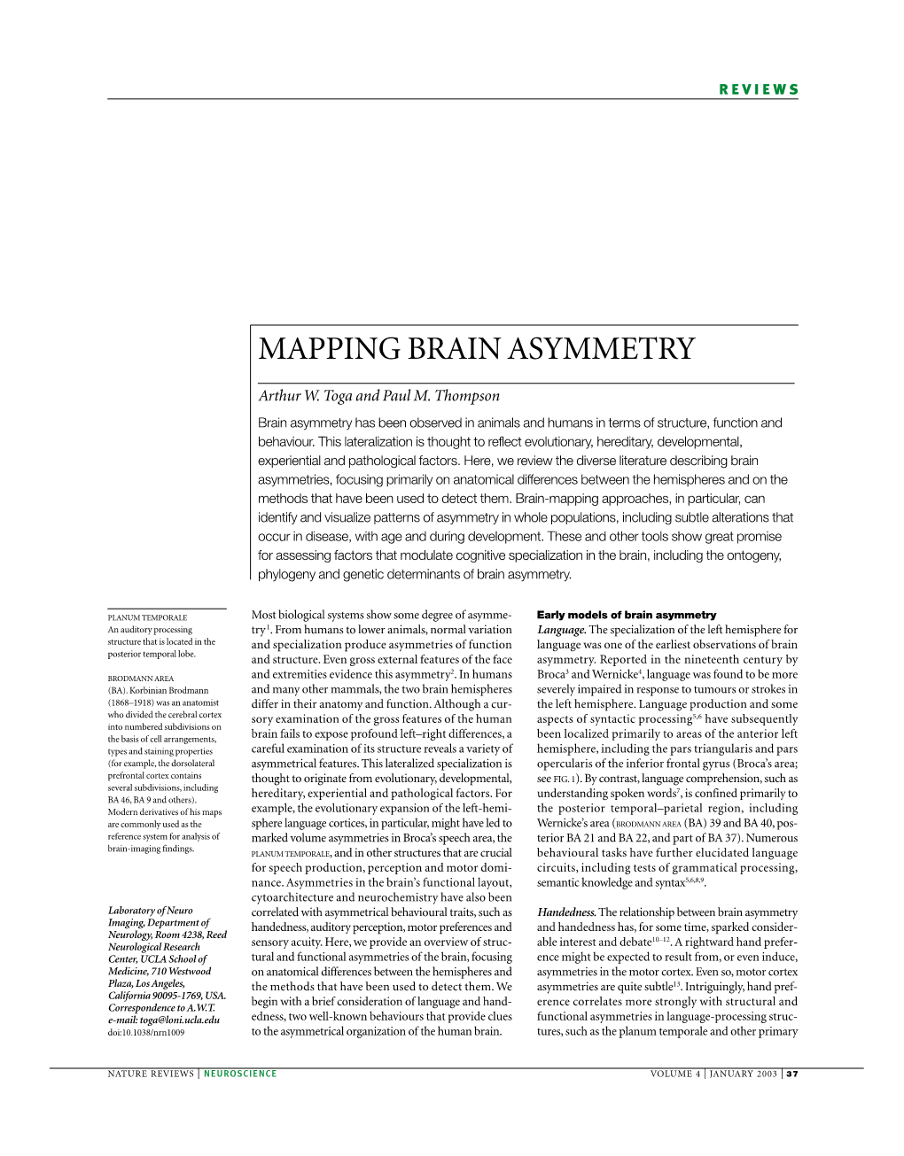 Mapping Brain Asymmetry