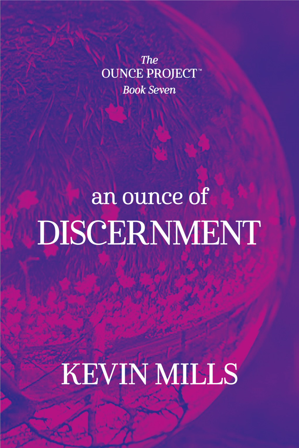 An Ounce of DISCERNMENT