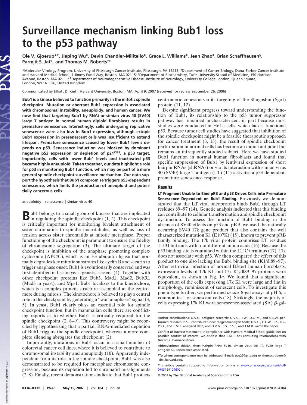 Surveillance Mechanism Linking Bub1 Loss to the P53 Pathway