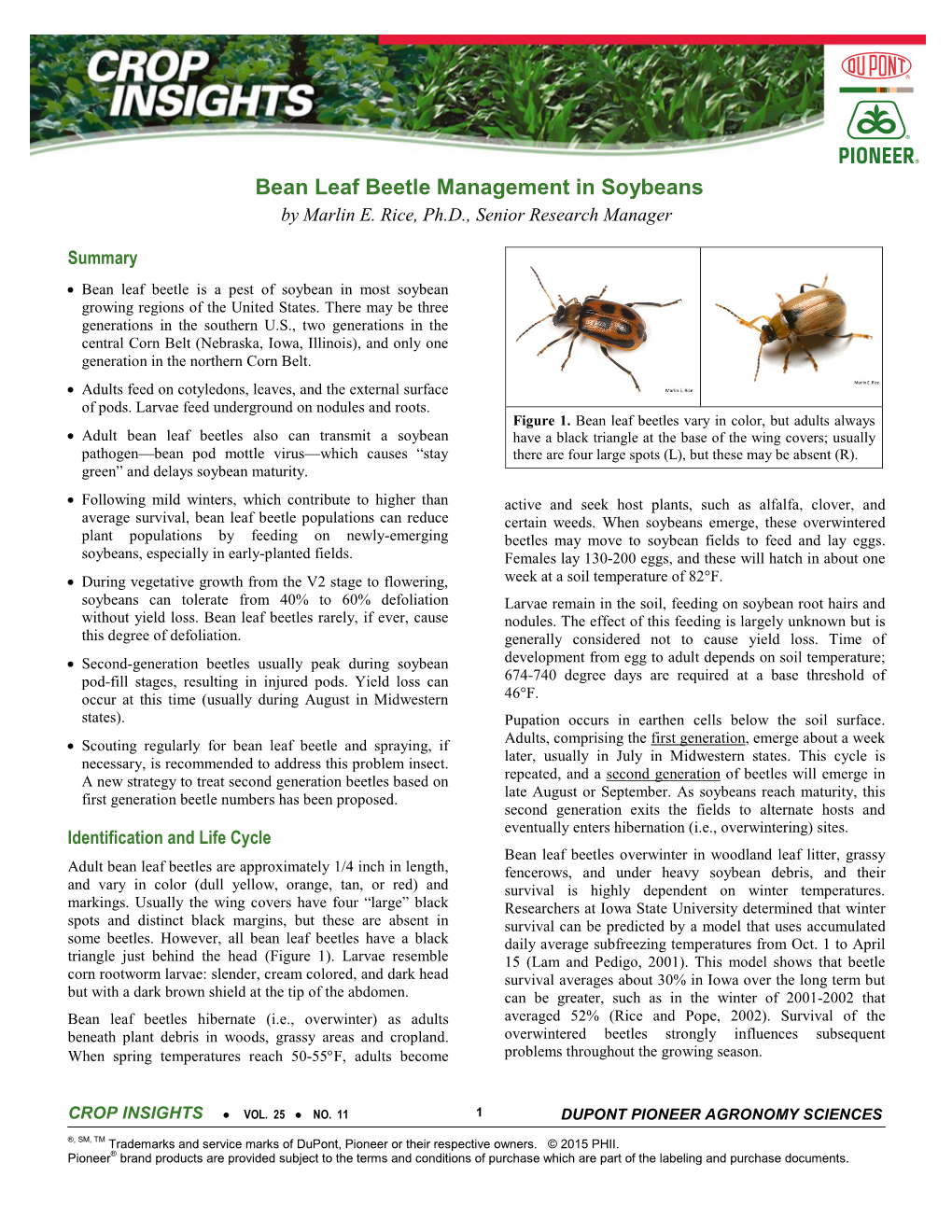 Bean Leaf Beetle Management in Soybeans by Marlin E