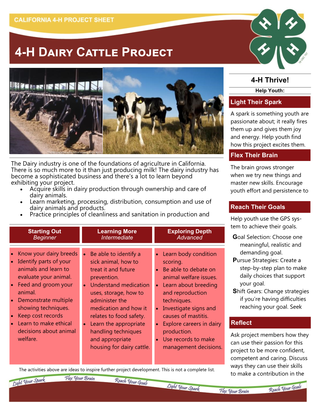 Dairy Cattle Project