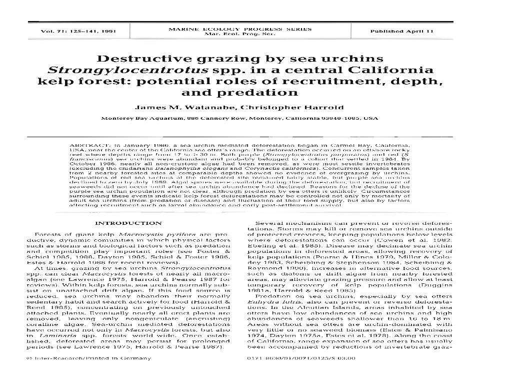 Destructive Grazing by Sea Urchins Strongylocentrotus Spp. in a Central California Kelp Forest: Potential Roles of Recruitment, Depth, and Predation