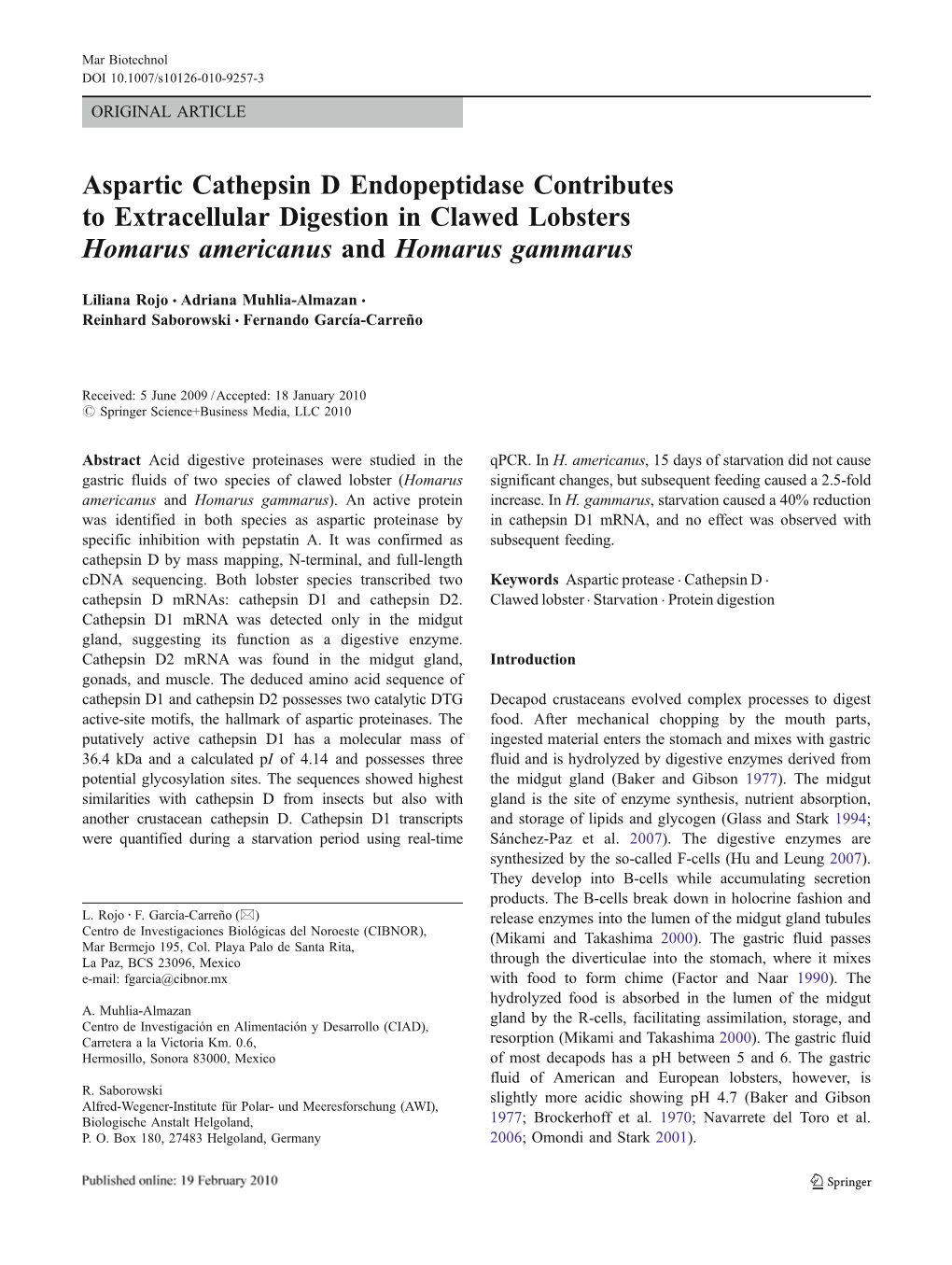 Aspartic Cathepsin D Endopeptidase Contributes to Extracellular Digestion in Clawed Lobsters Homarus Americanus and Homarus Gammarus