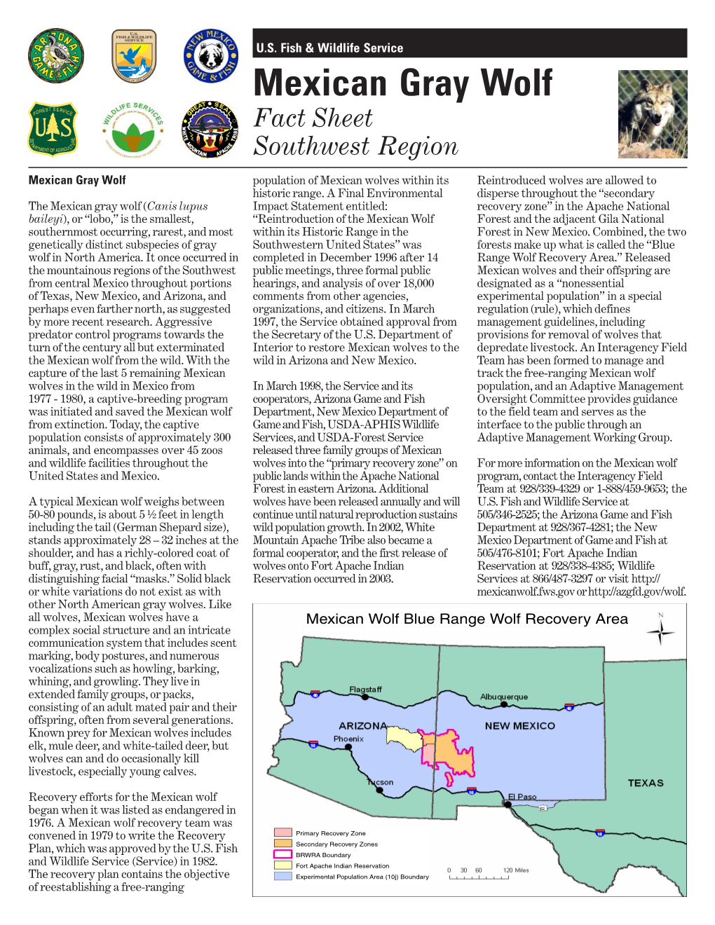 Mexican Gray Wolf Fact Sheet Southwest Region