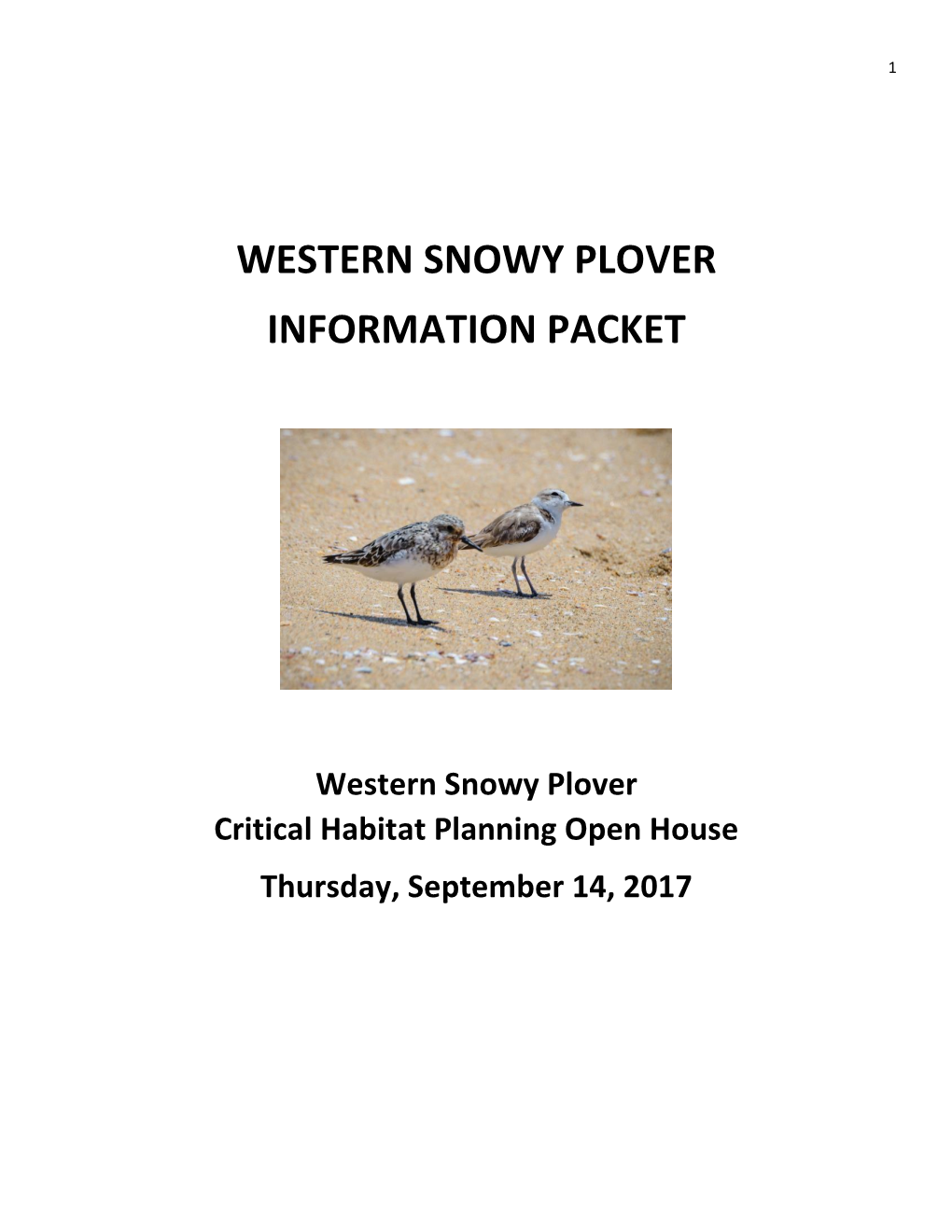 Western Snowy Plover Information Packet