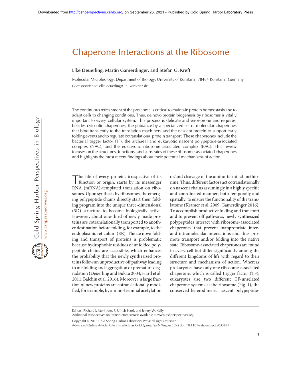 Chaperone Interactions at the Ribosome