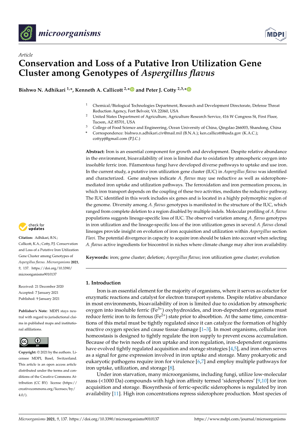 Conservation and Loss of a Putative Iron Utilization Gene Cluster Among Genotypes of Aspergillus ﬂavus