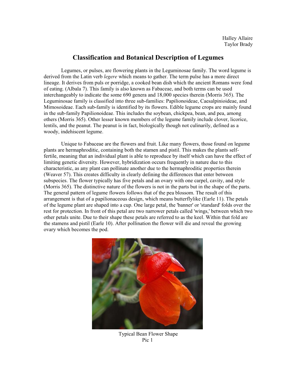 Classification and Botanical Description of Legumes