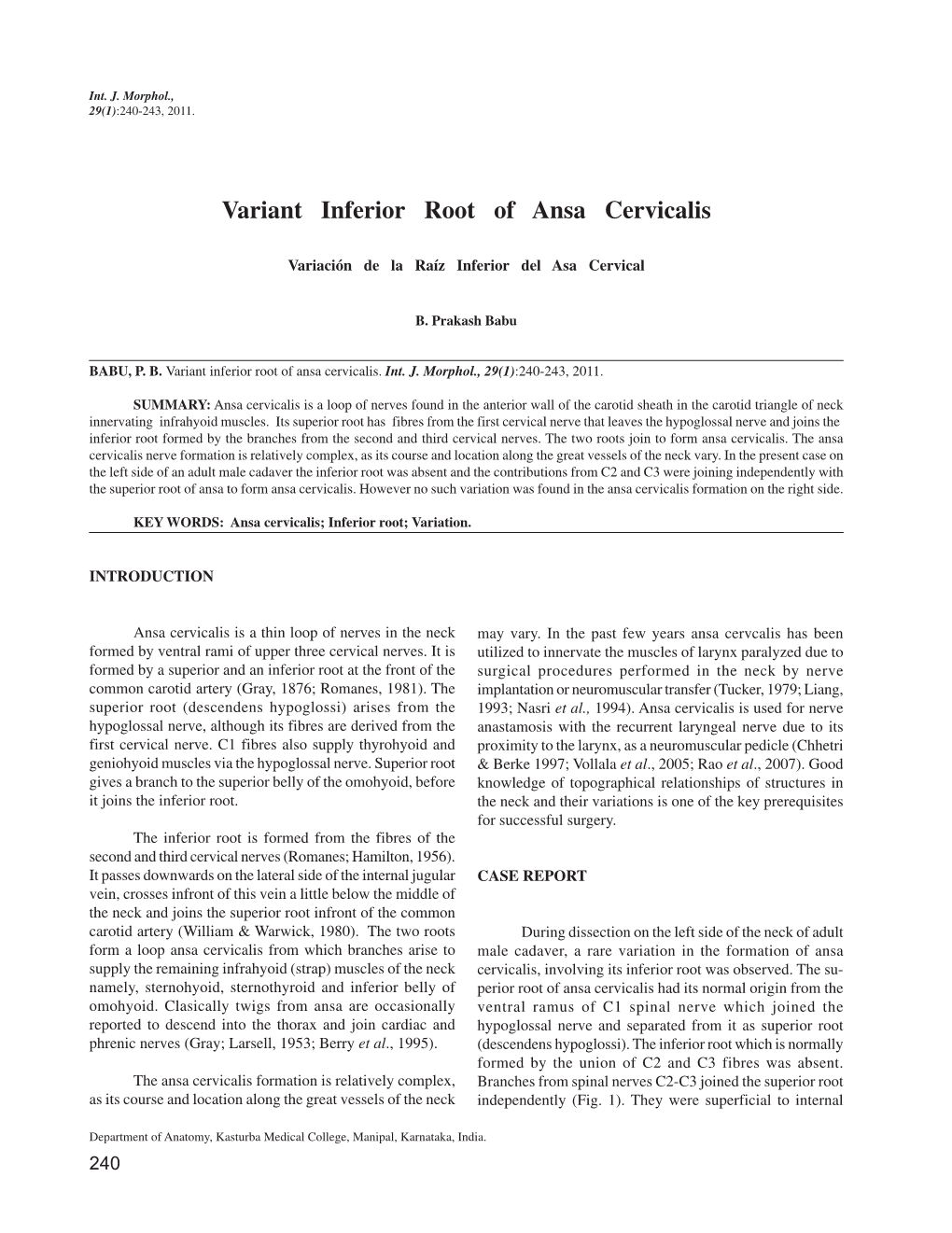 Variant Inferior Root of Ansa Cervicalis