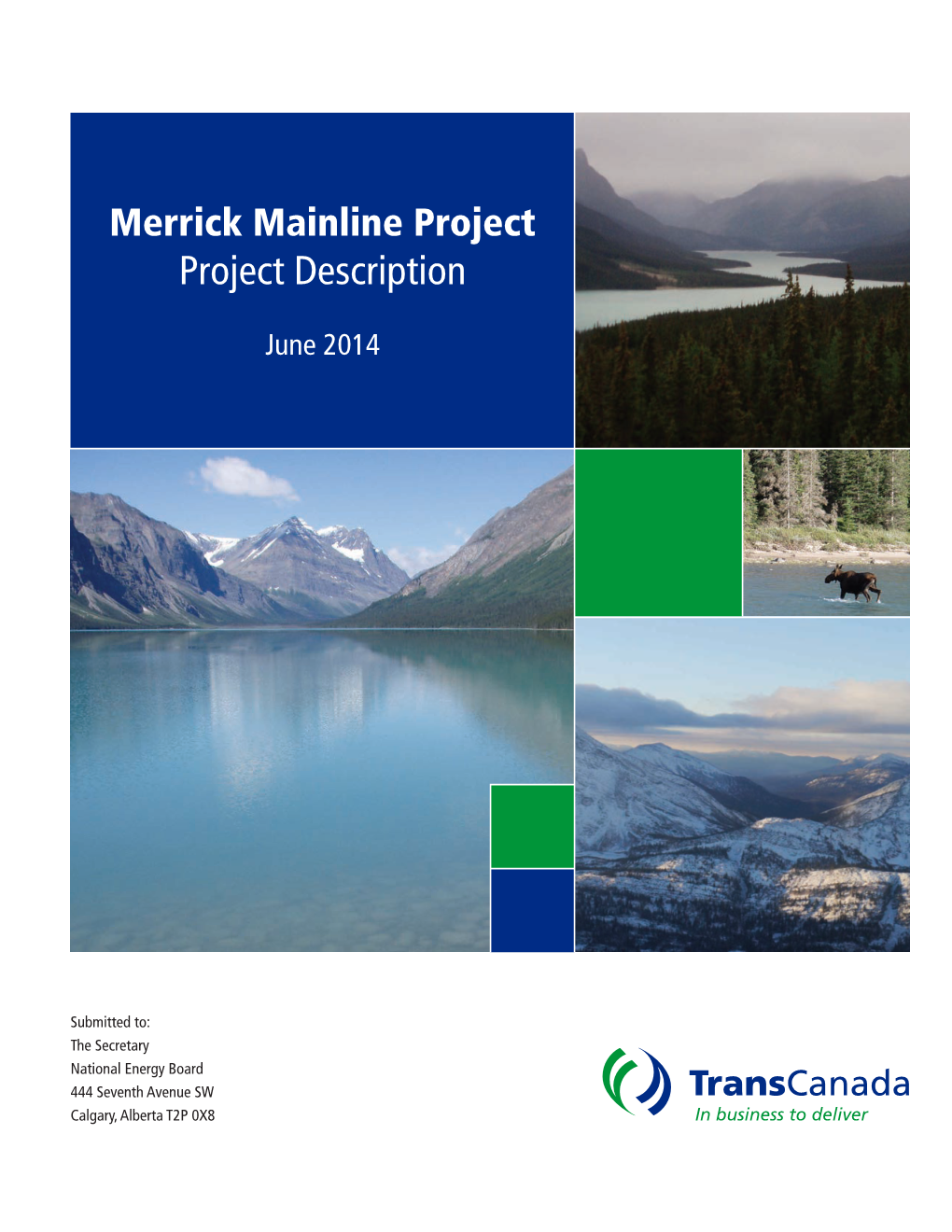 Merrick Mainline Project Project Description