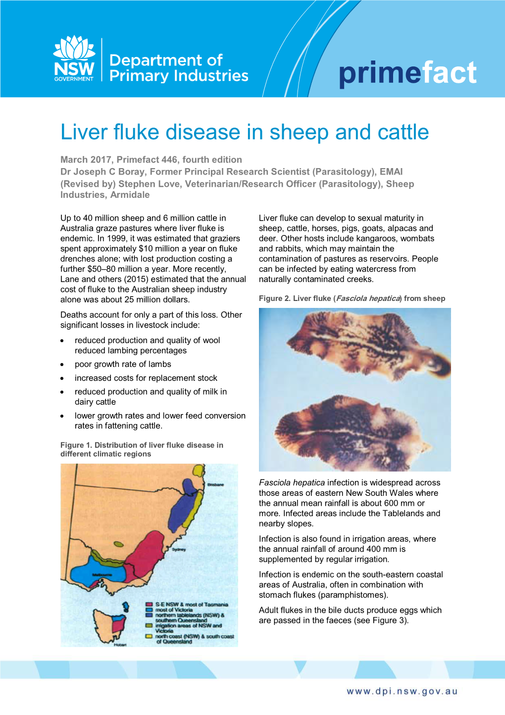 Liver Fluke Disease in Sheep and Cattle
