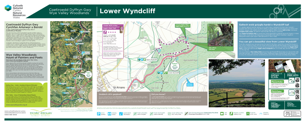 Wyndcliff Wood