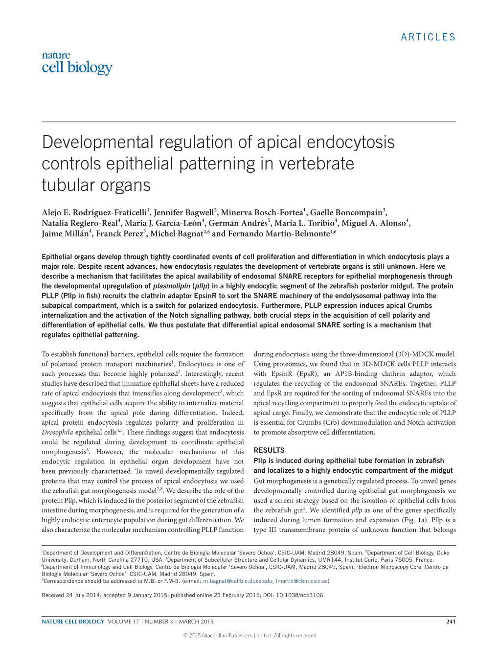 Developmental Regulation of Apical Endocytosis Controls Epithelial Patterning in Vertebrate Tubular Organs