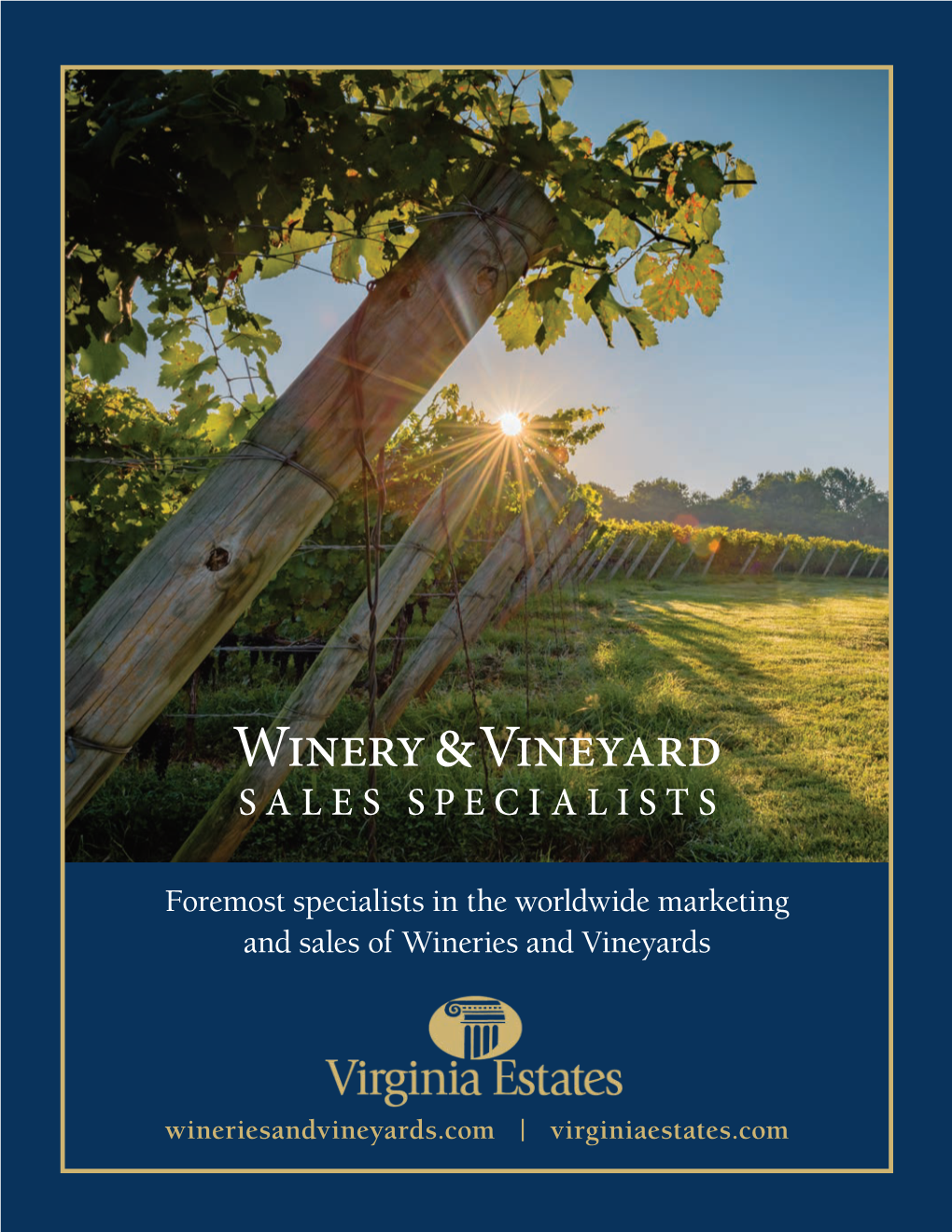 Winery & Vineyard