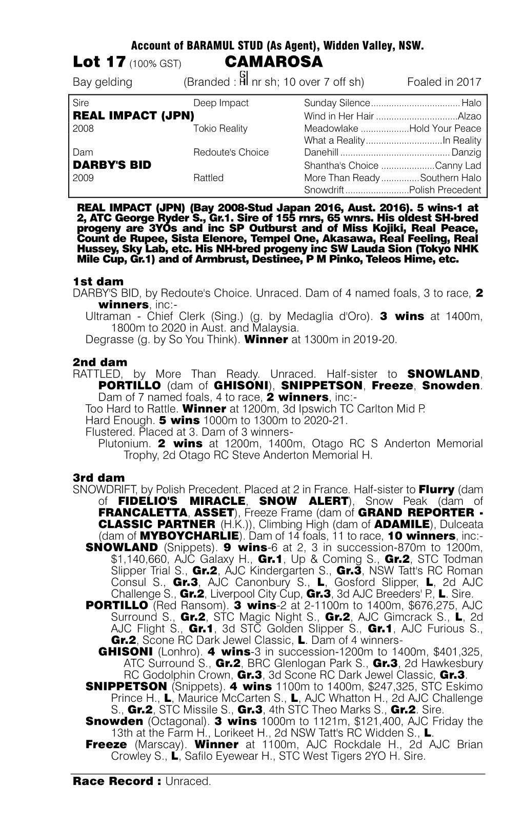 CAMAROSA Bay Gelding (Branded : Nr Sh; 10 Over 7 Off Sh) Foaled in 2017