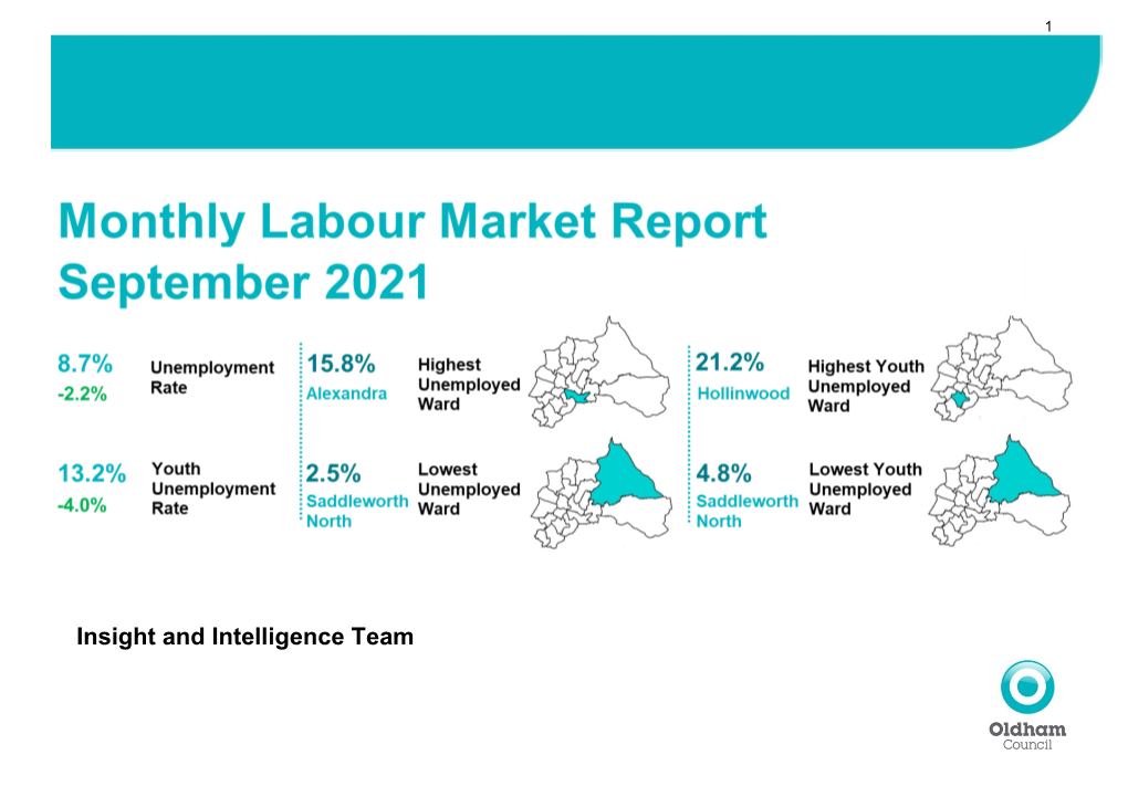 Insight and Intelligence Team