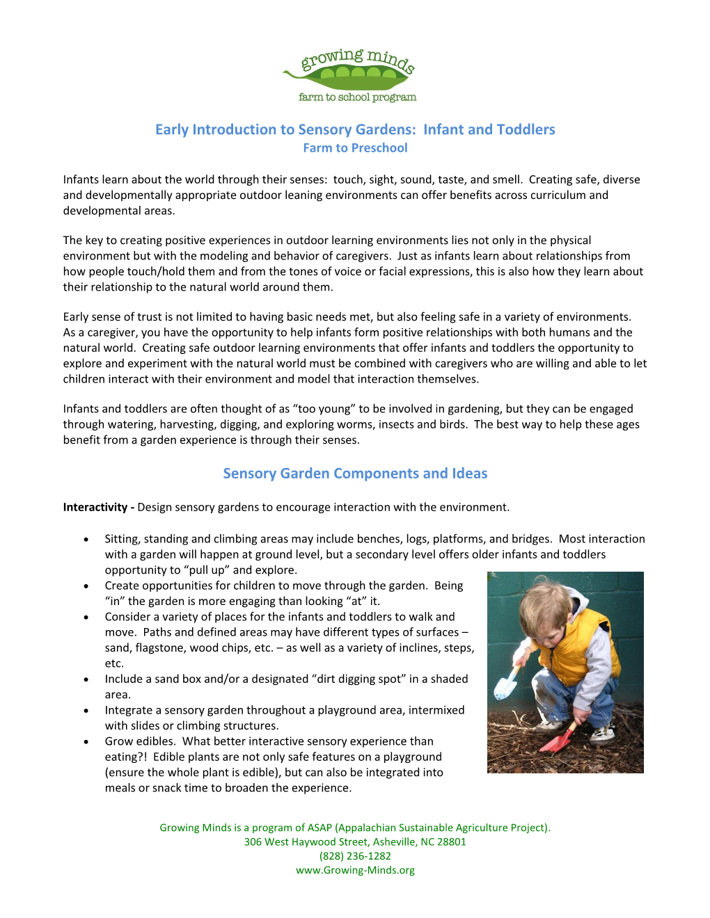 Early Introduction to Sensory Gardens: Infant and Toddlers Sensory Garden Components and Ideas