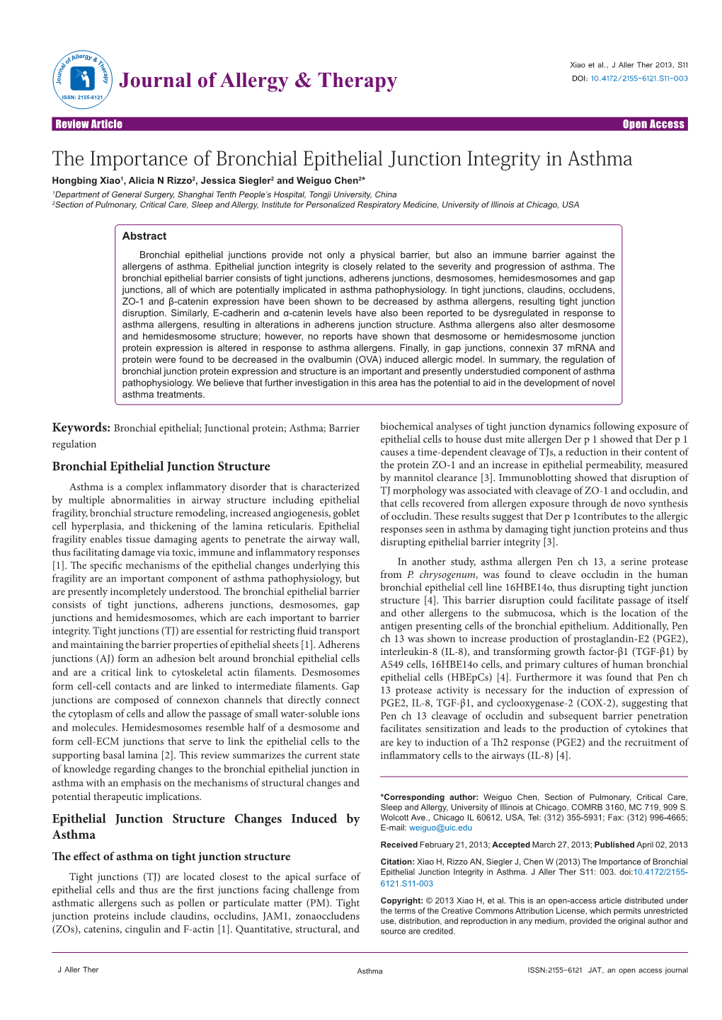 The Importance of Bronchial Epithelial Junction Integrity in Asthma