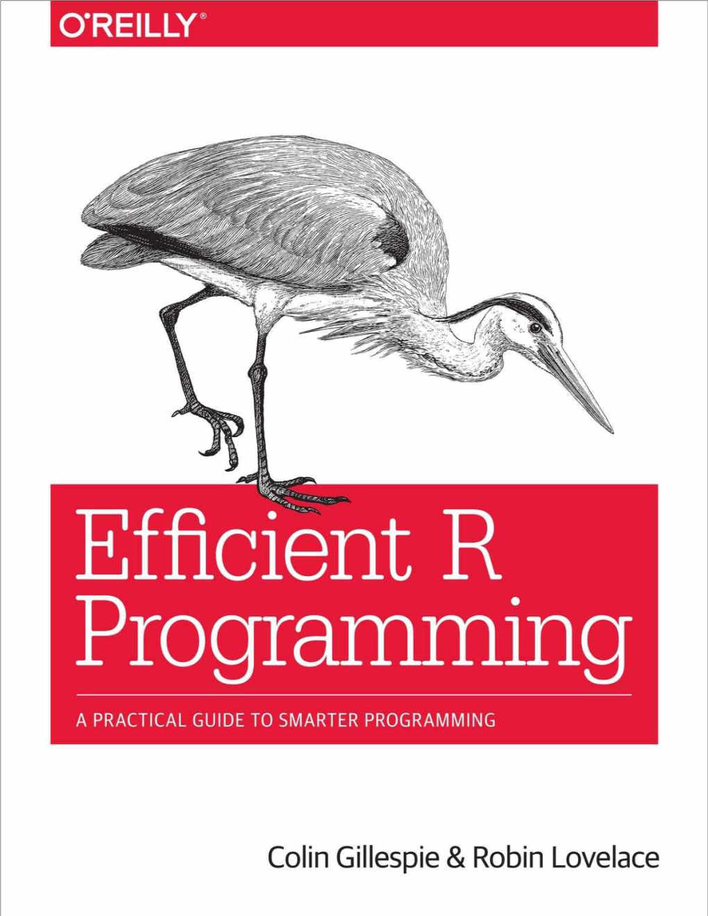 Efficient R Programming: a Practical Guide to Smarter Programming