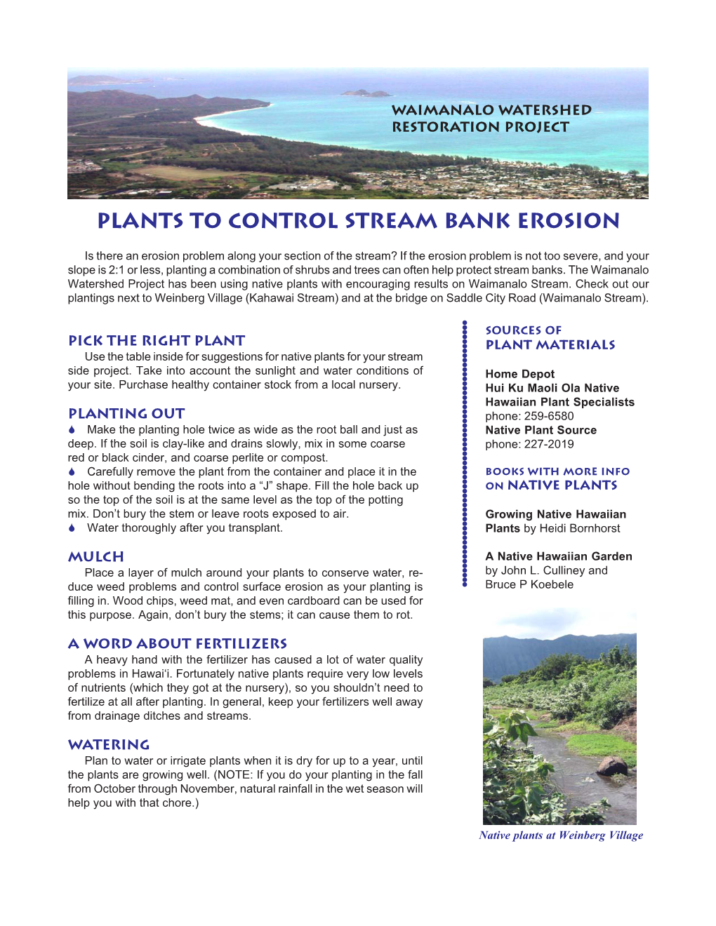 Plants to Control Stream Bank Erosion