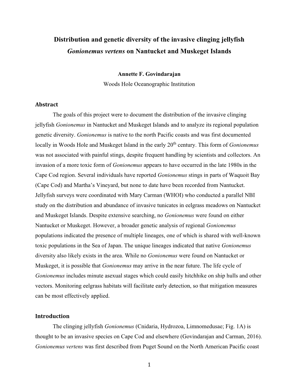 Distribution and Genetic Diversity of the Invasive Clinging Jellyfish Gonionemus Vertens on Nantucket and Muskeget Islands